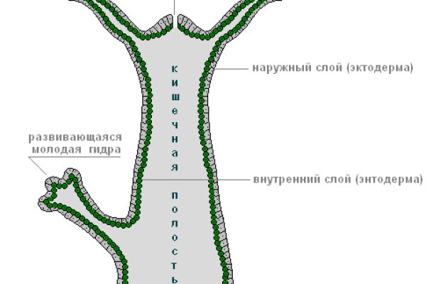 Телеграм канал кракен