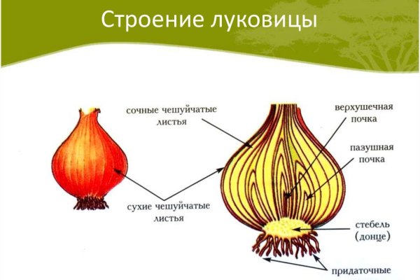 Кракен даркент